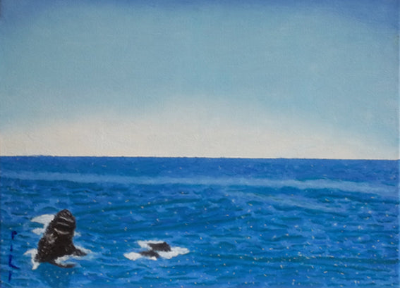 Pequeñas Rocas En El Mar